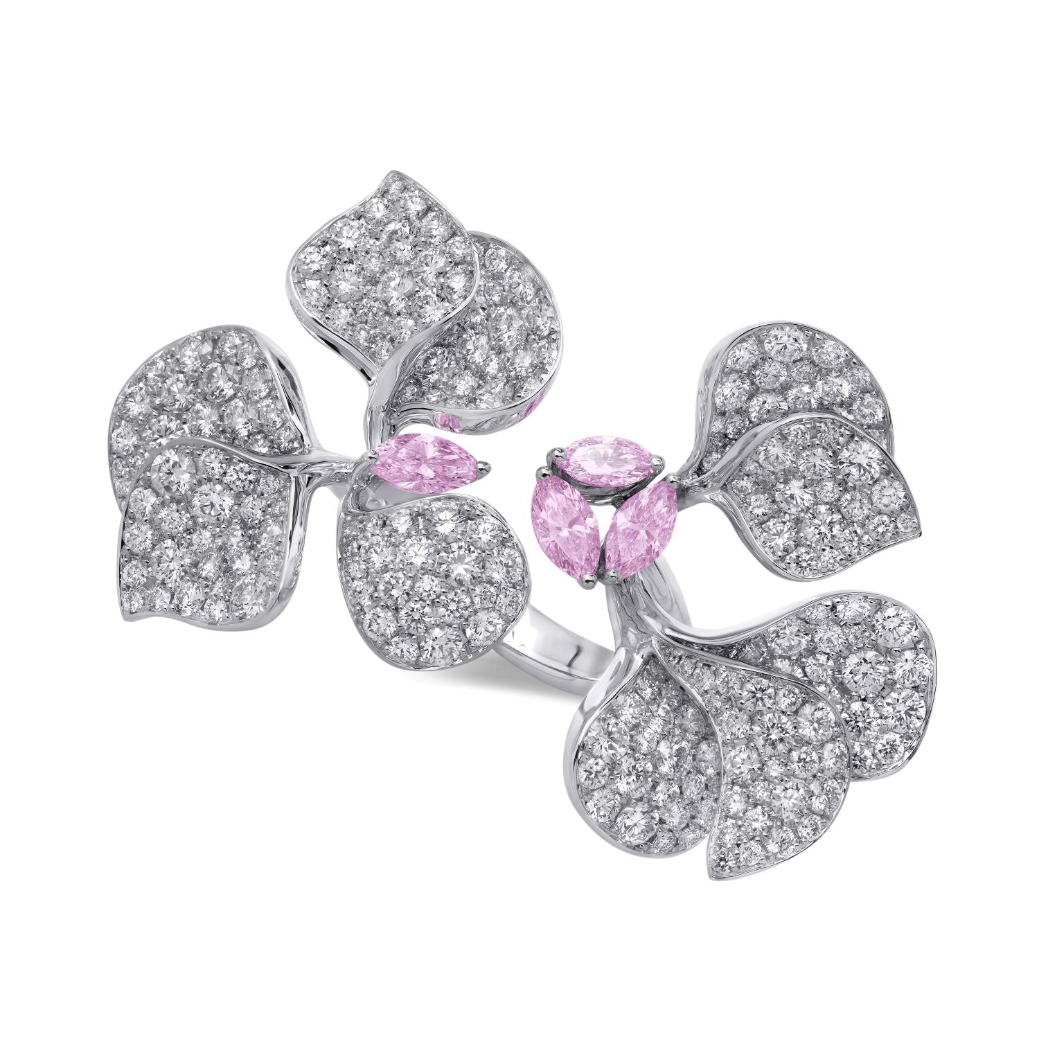 À FLEUR DE PARIS Sapphire Double Ring