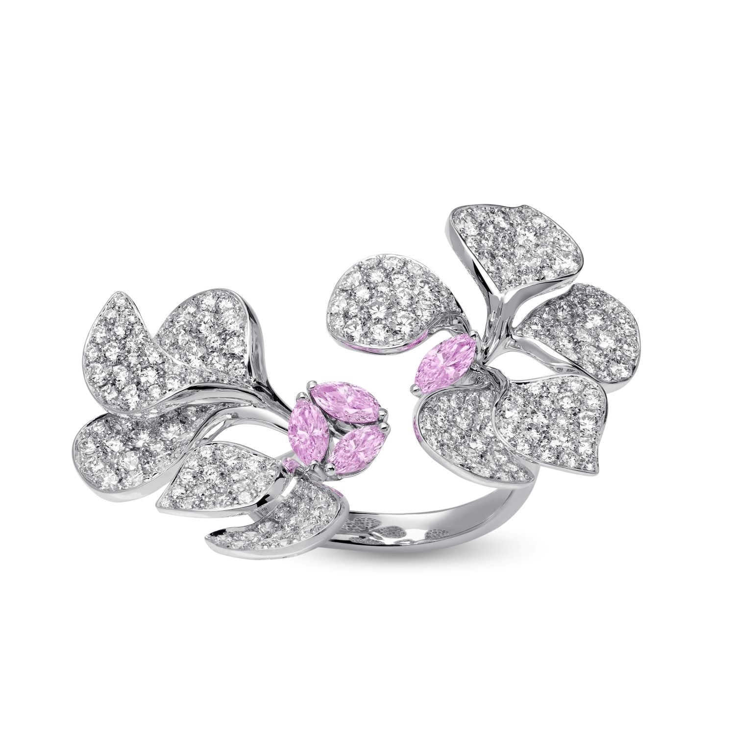 À FLEUR DE PARIS Sapphire Double Ring